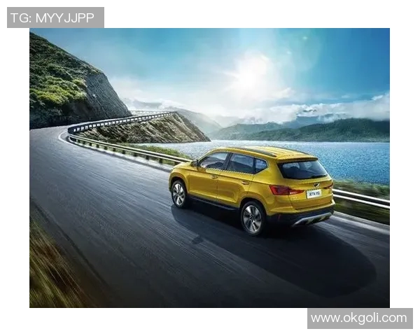 vs通行码价格揭秘及购买渠道详解让你轻松出行无忧