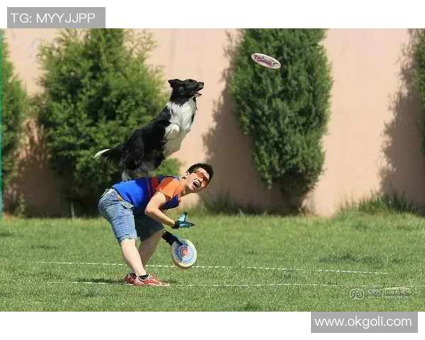 南京飞盘队在极限运动世界杯中的精彩表现与力量分析